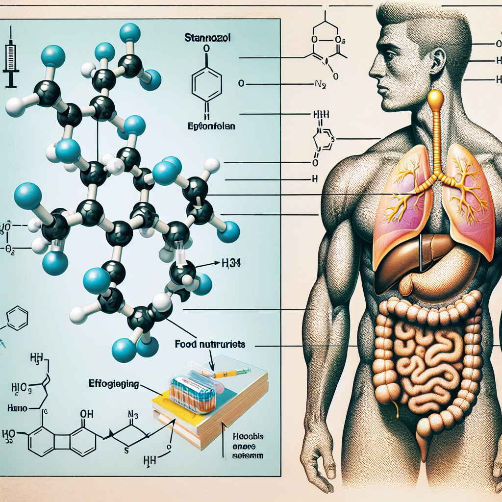 Injectable stanozolol and its influence on energy metabolism